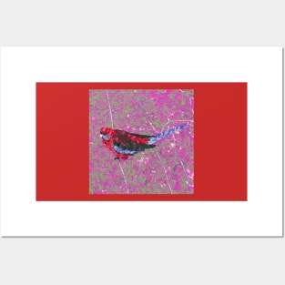 Marbled Bird Collage - Crimson Rosella #2 Posters and Art